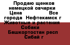 Продаю щенков немецкой овчарки › Цена ­ 5000-6000 - Все города, Нефтекамск г. Животные и растения » Собаки   . Башкортостан респ.,Сибай г.